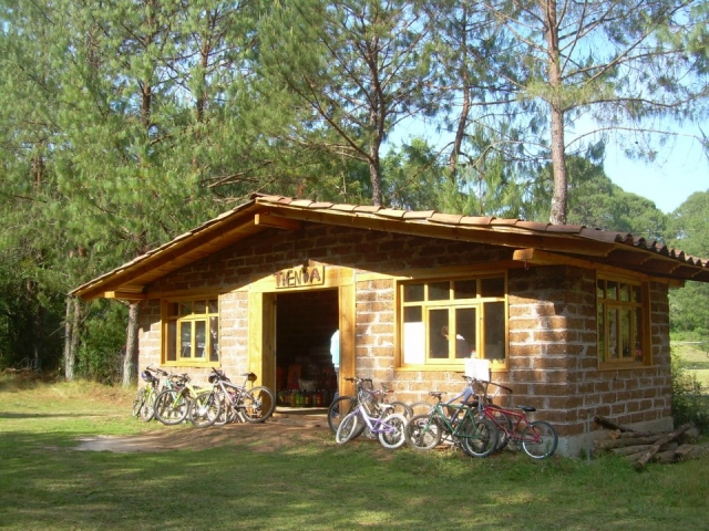  Bicycle rental 